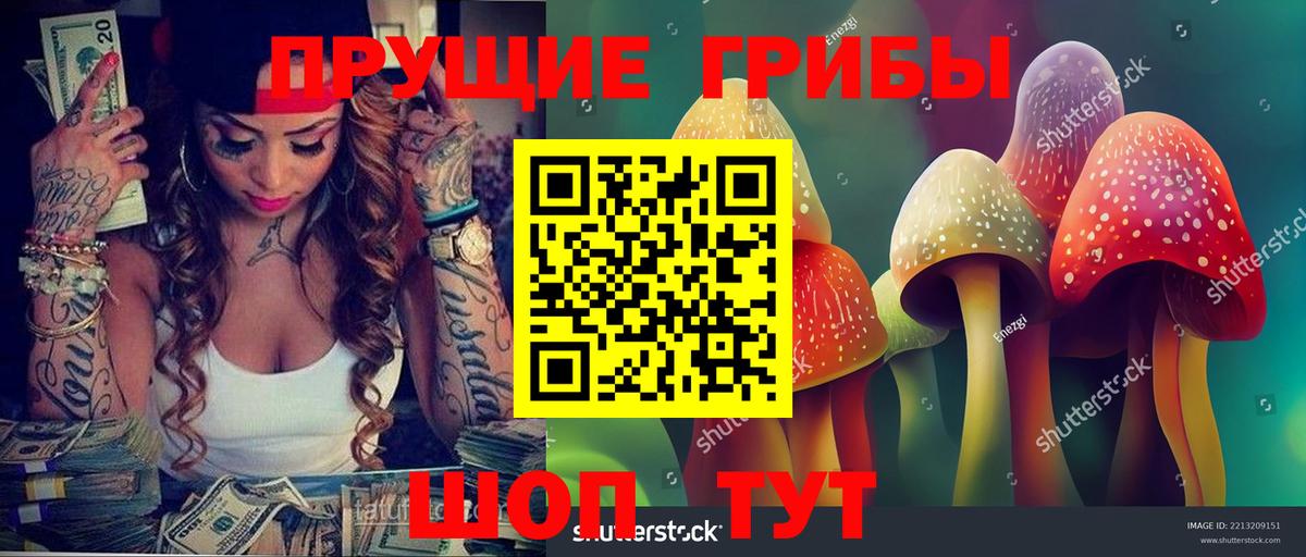 Псилоцибиновые грибы MAGIC MUSHROOMS Красноярск