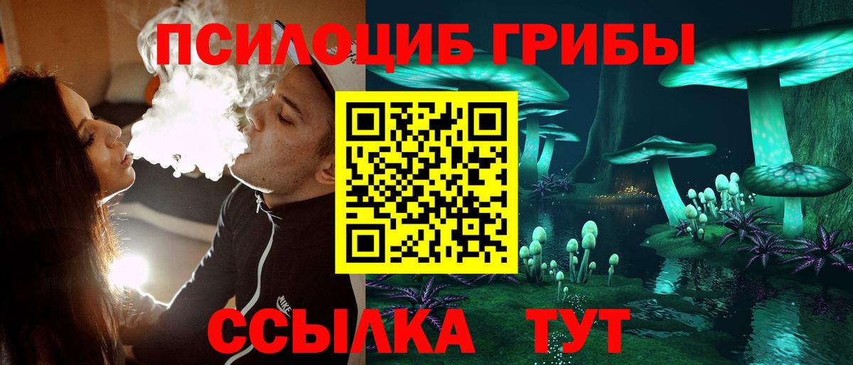 Красноярск  Галлюциногенные грибы Cubensis  купить наркотики сайты  Вход с VPN 